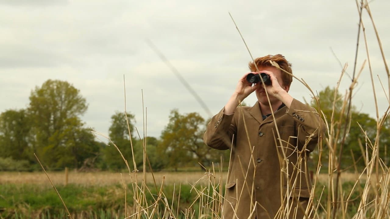 Backdrop – Haricots sur Toast