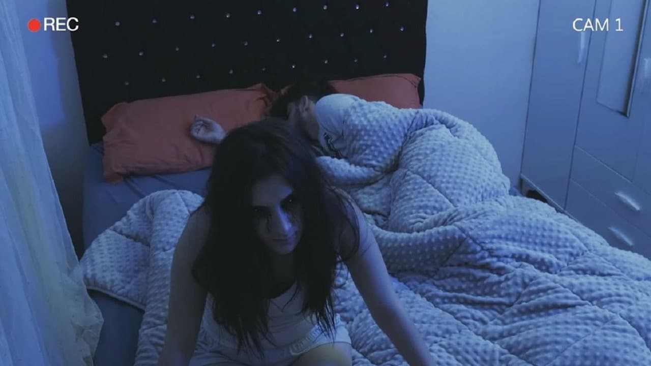 Backdrop – Cin Perdesi