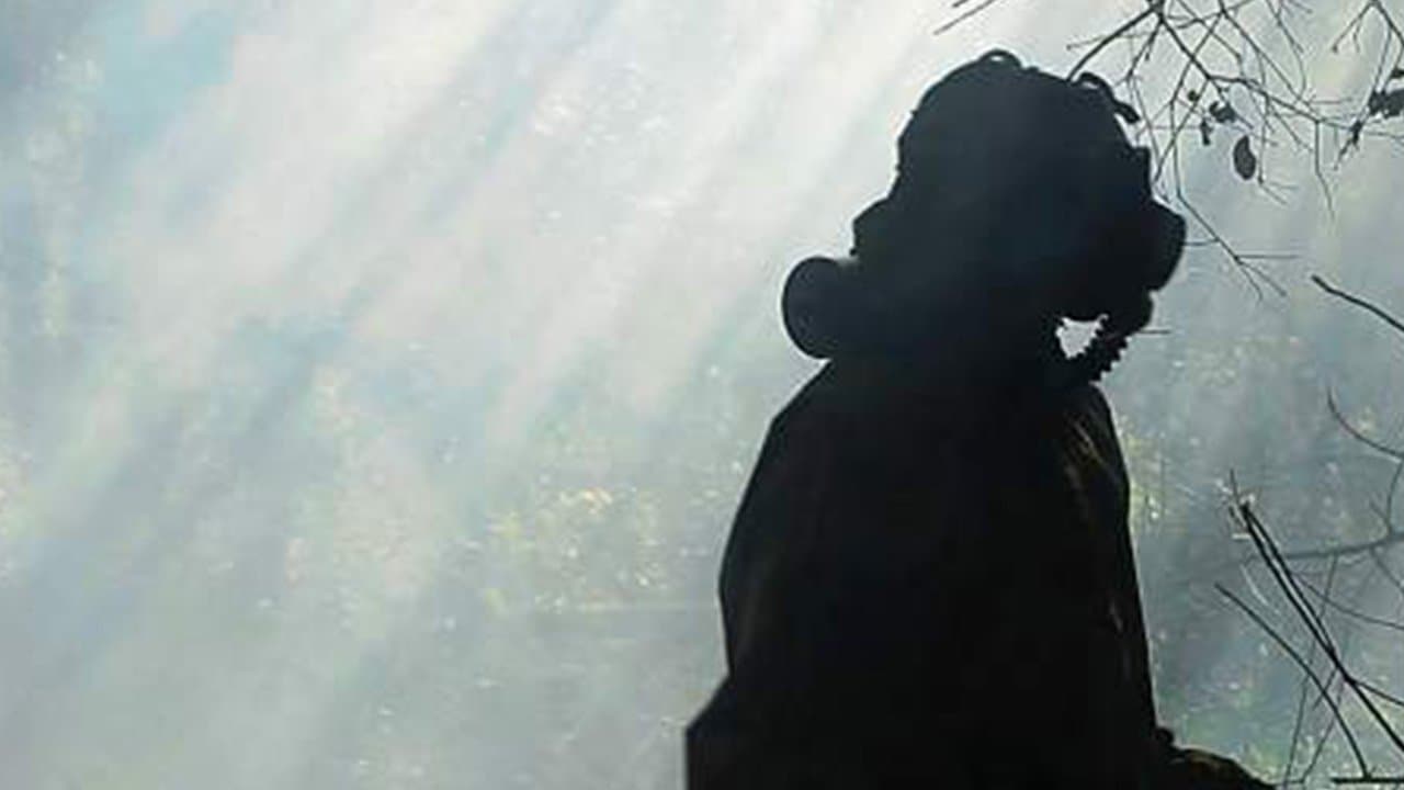 Backdrop – Chemical Peel