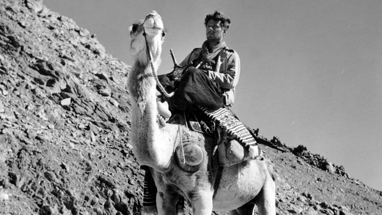 Backdrop – La Piste Frison-Roche