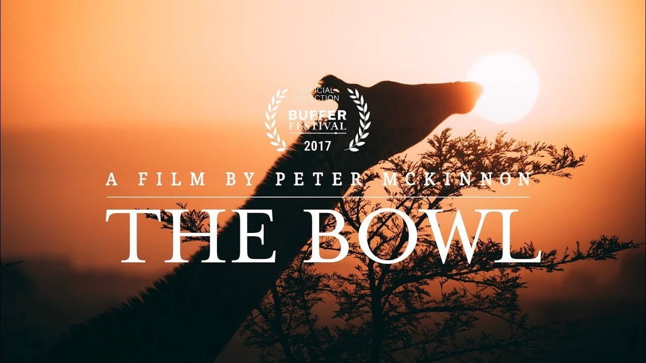 Backdrop – The Bowl