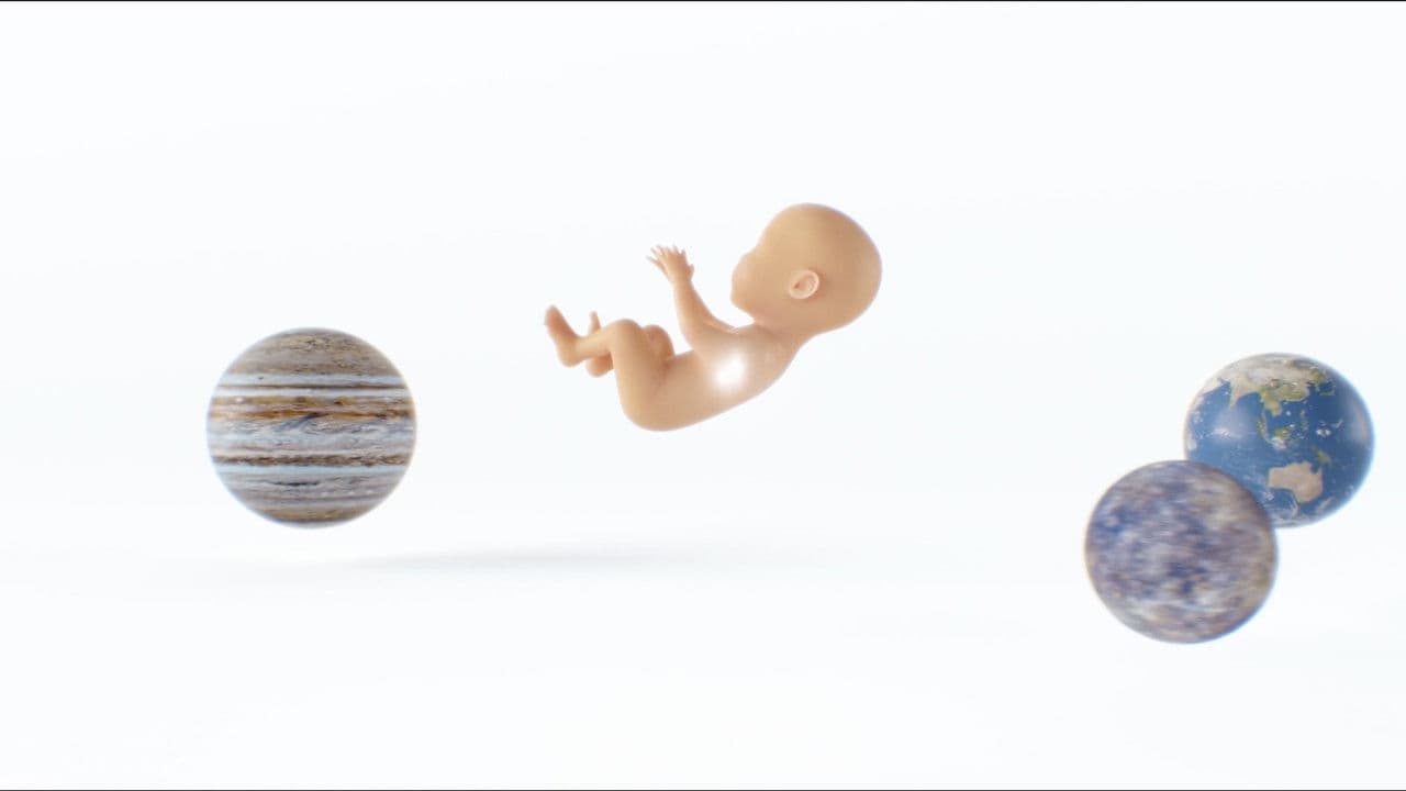 Backdrop – Star Cash