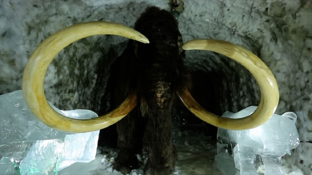 Backdrop – Страсти по мамонту