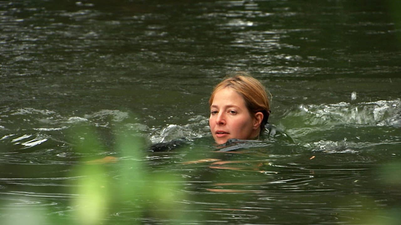 Backdrop – Wild Swimming