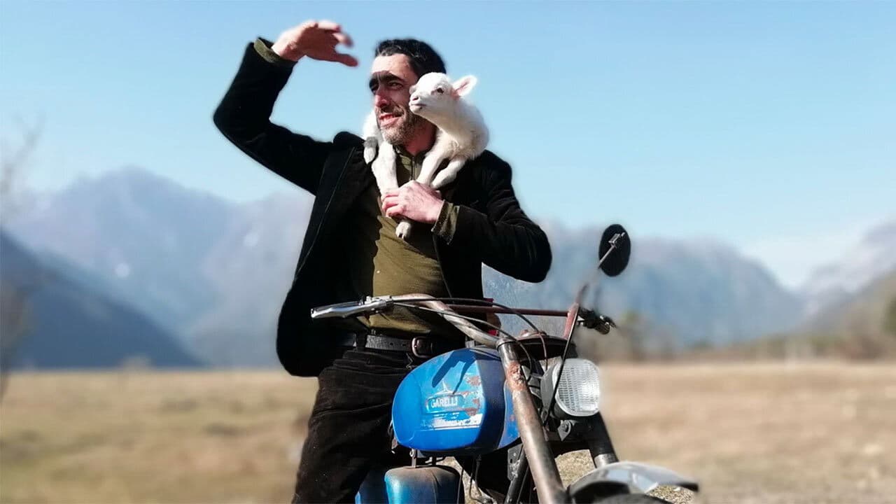 Backdrop – Il profumo del mirto