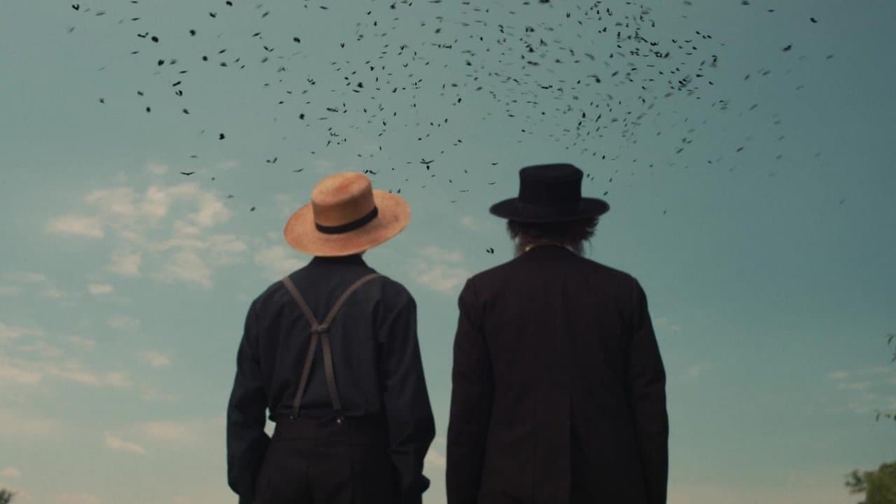 Backdrop – The Harvesting - Die Sonnenwende naht