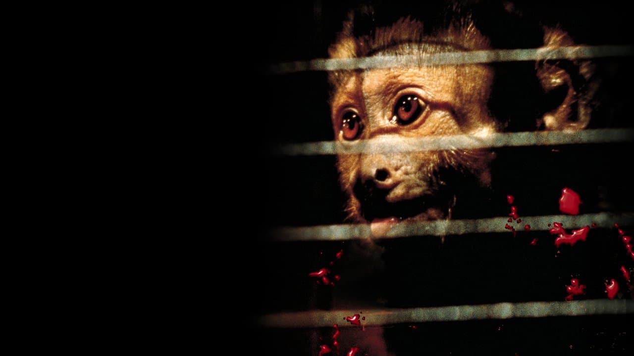 Backdrop – Der Affe im Menschen