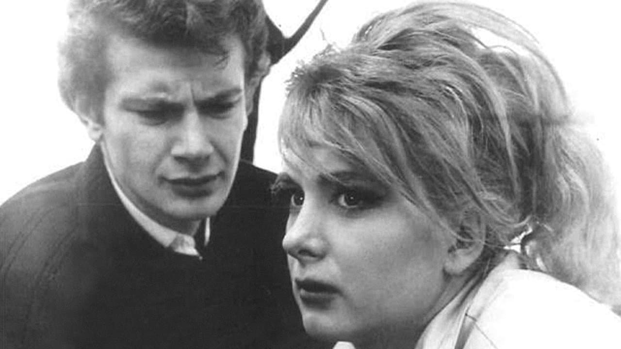 Backdrop – Şoför Nebahat ve Kızı