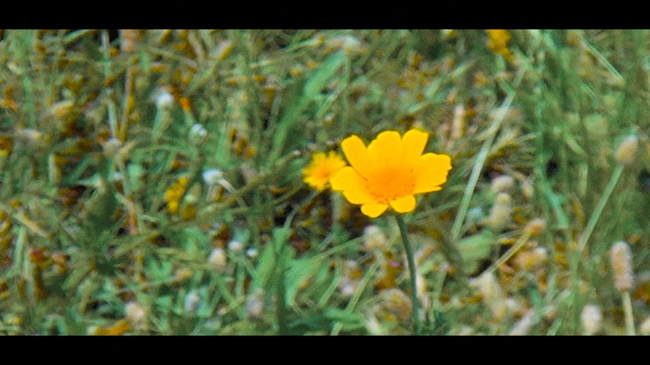 Backdrop – Kinetic: The Art of Oneself