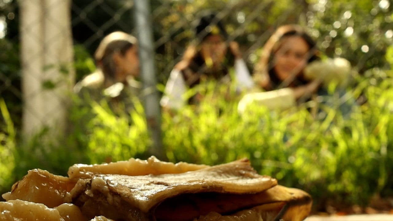 Backdrop – Siempre Abril, Siempre