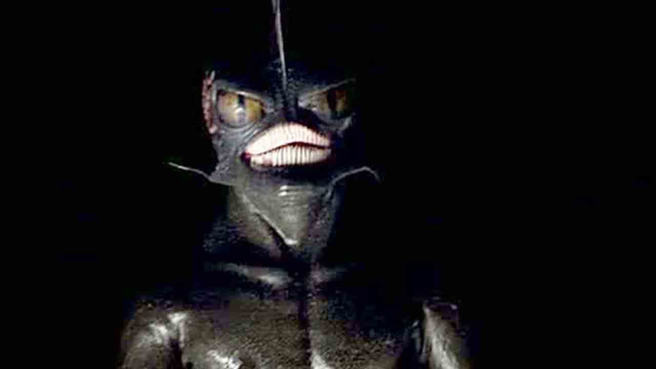 Backdrop – Hypothermia - The Coldest Prey