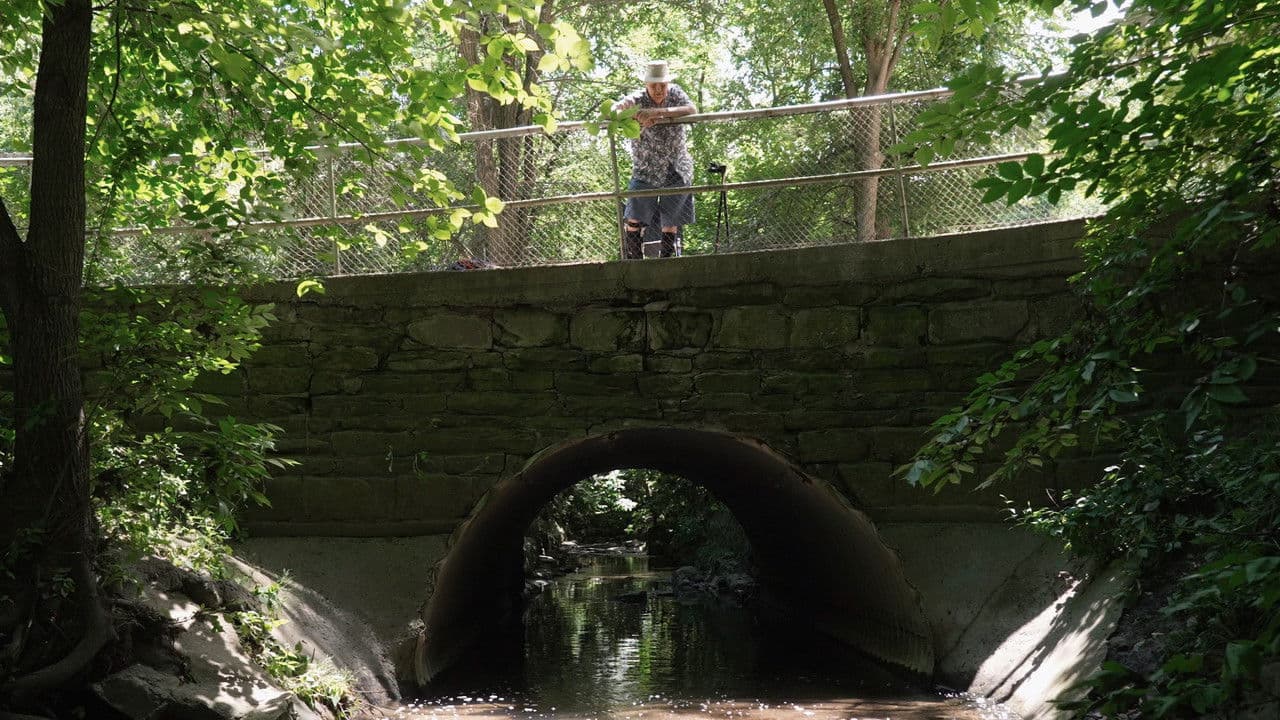 Backdrop – Sherwood Park