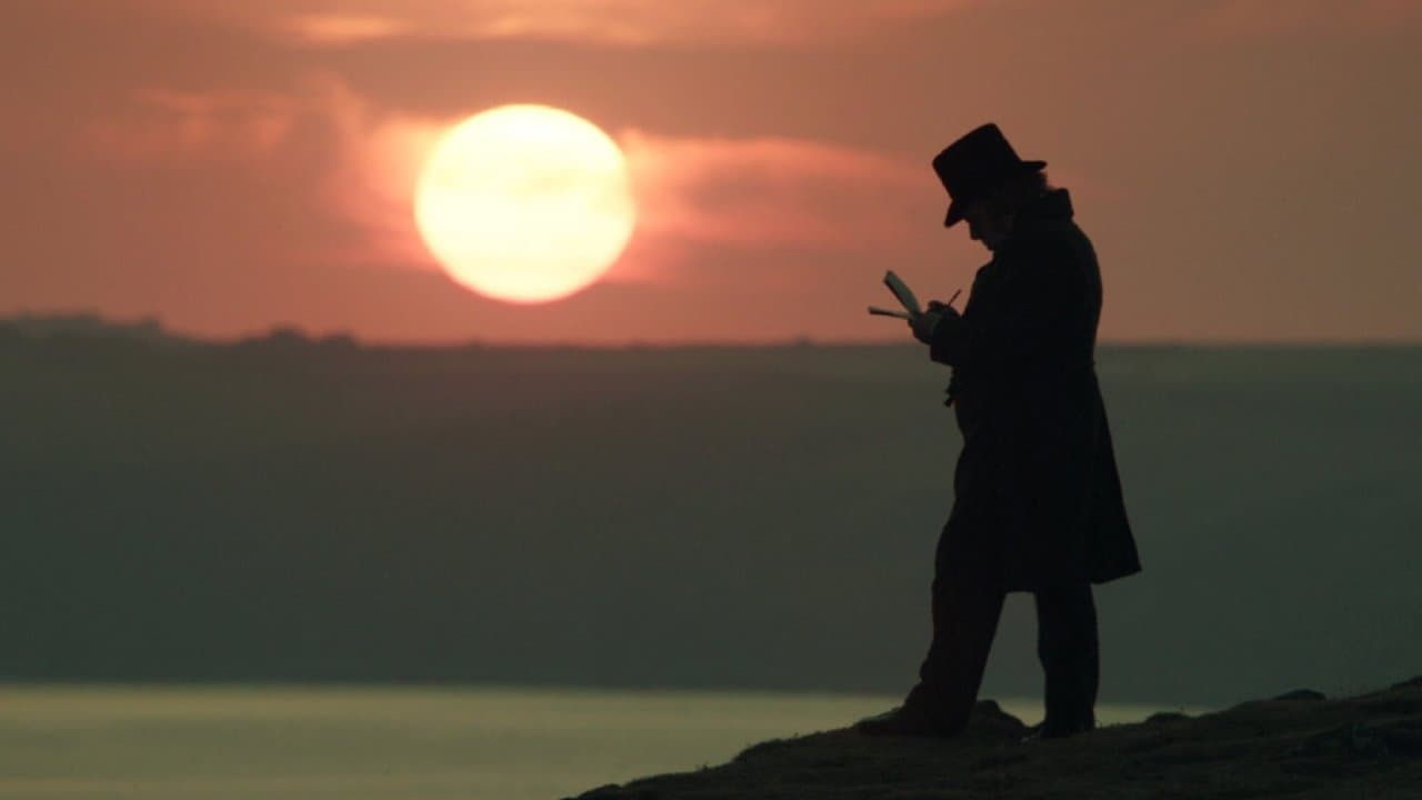 Backdrop – Mr. Turner - Meister des Lichts