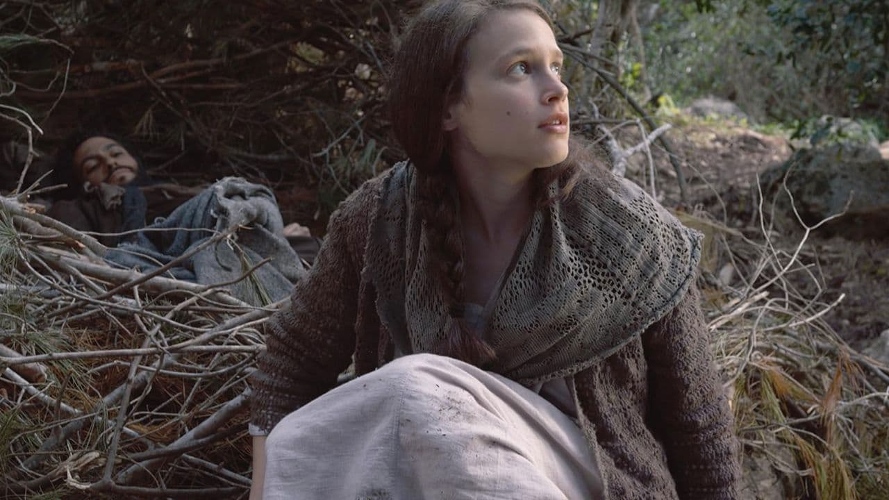 Backdrop – צילי