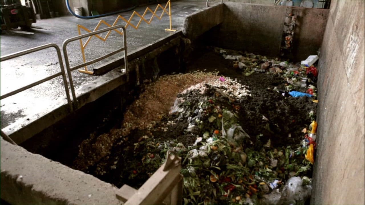 Backdrop – Waste Not