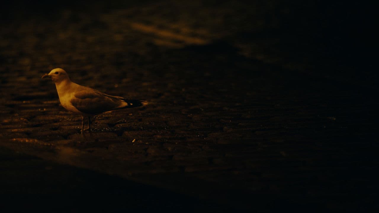 Backdrop – Ikke Mat Måken