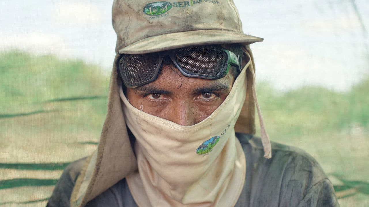 Backdrop – Hitzefrei? Klima wandelt Arbeit