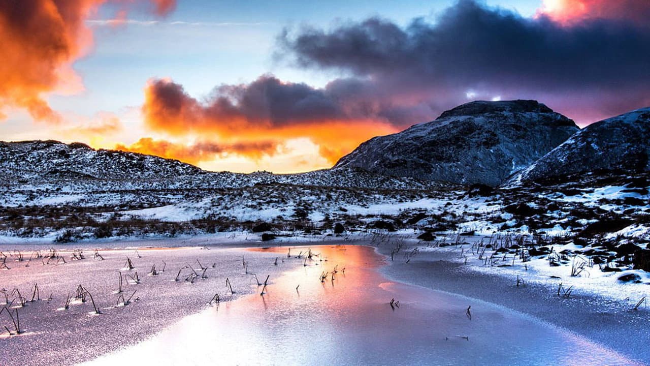Backdrop – The Lake District: A Wild Year