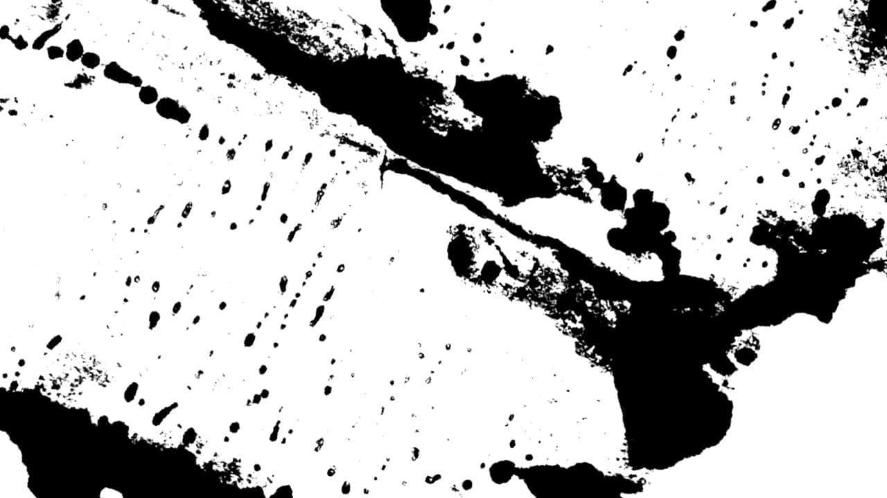 Backdrop – Claire