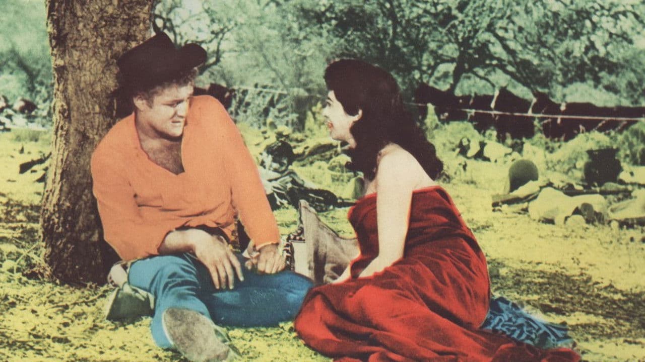 Backdrop – Villa!!