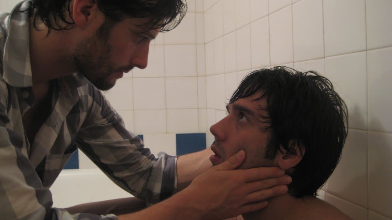 Backdrop – D'Agostino