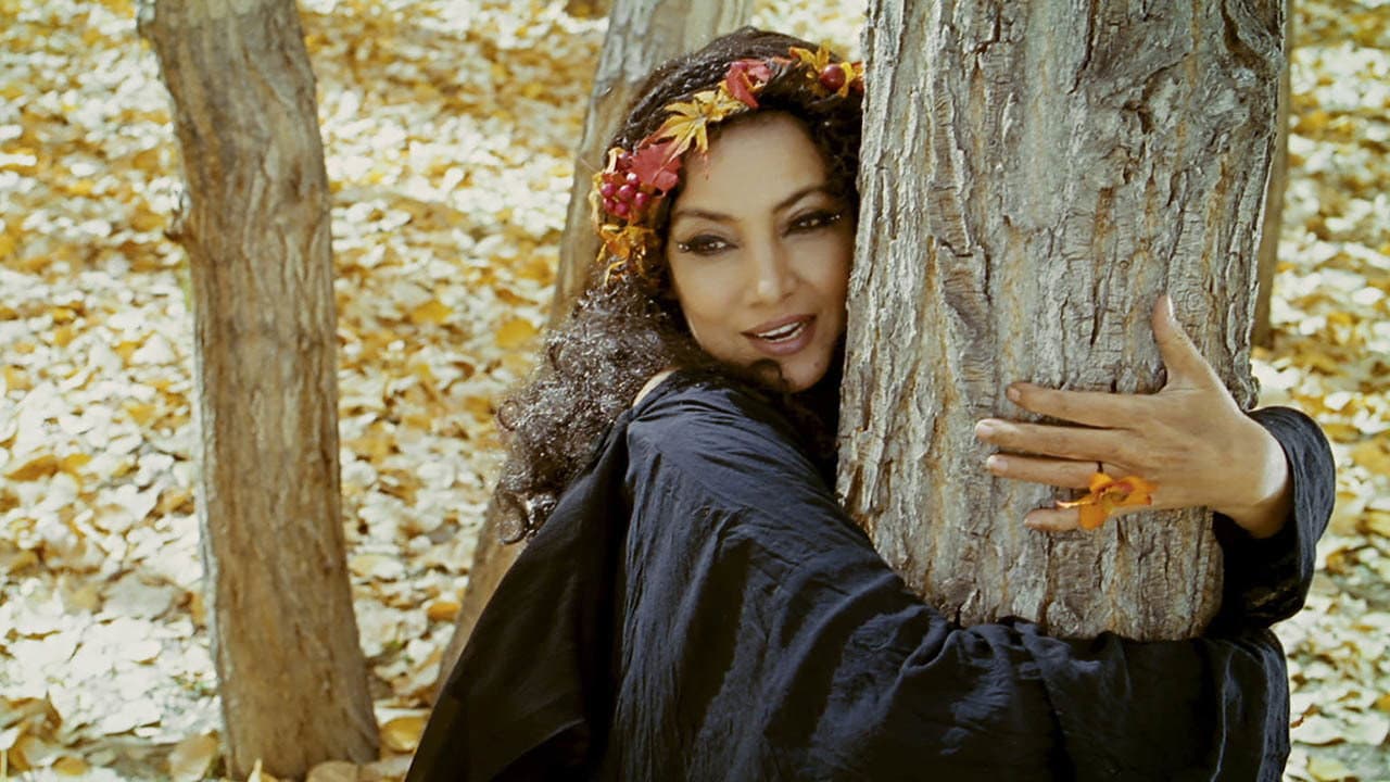 Backdrop – The Wishing Tree