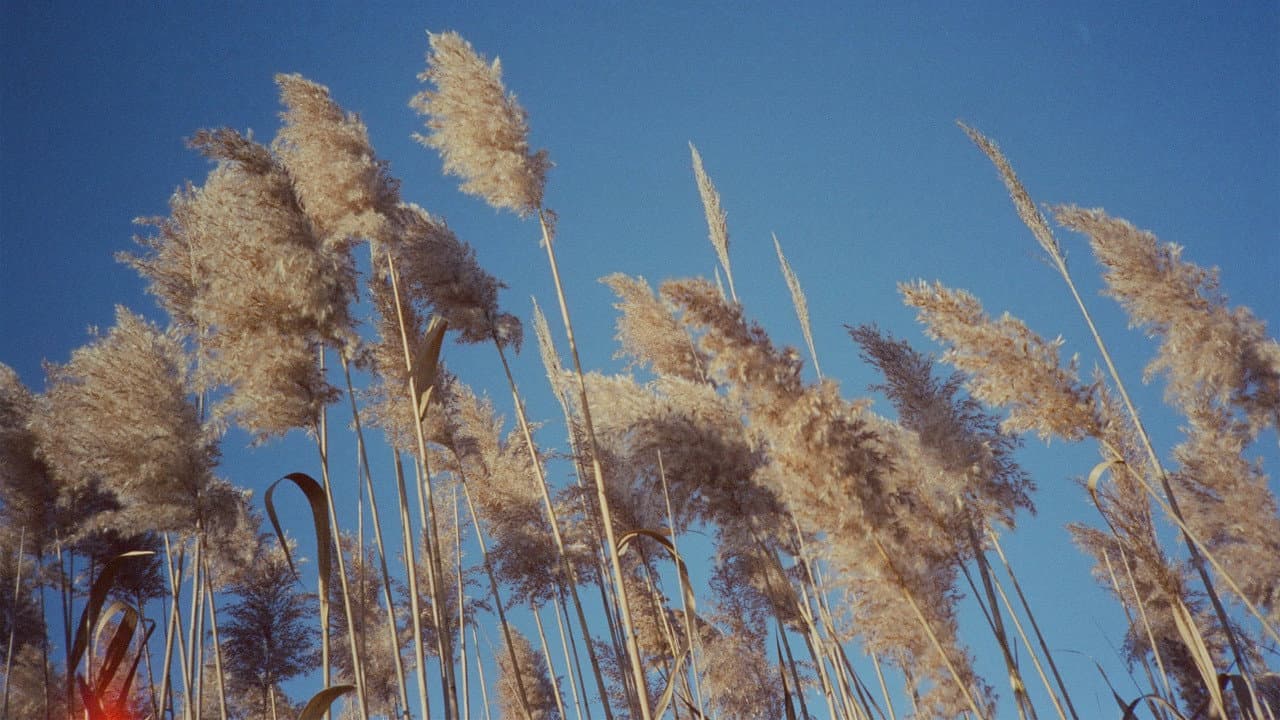 Backdrop – Remember This Place