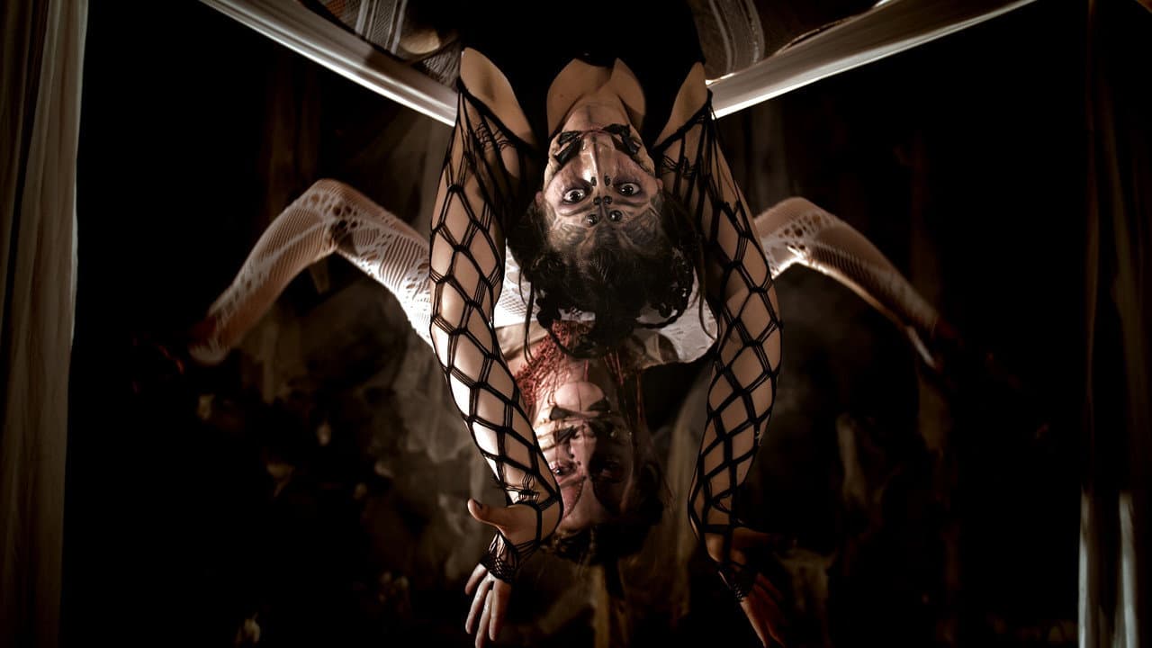 Backdrop – Arachne