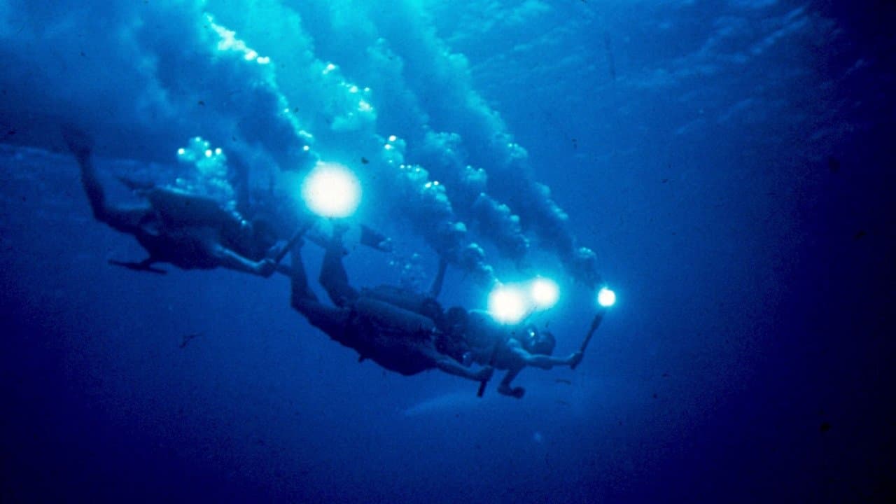 Backdrop – Die schweigende Welt