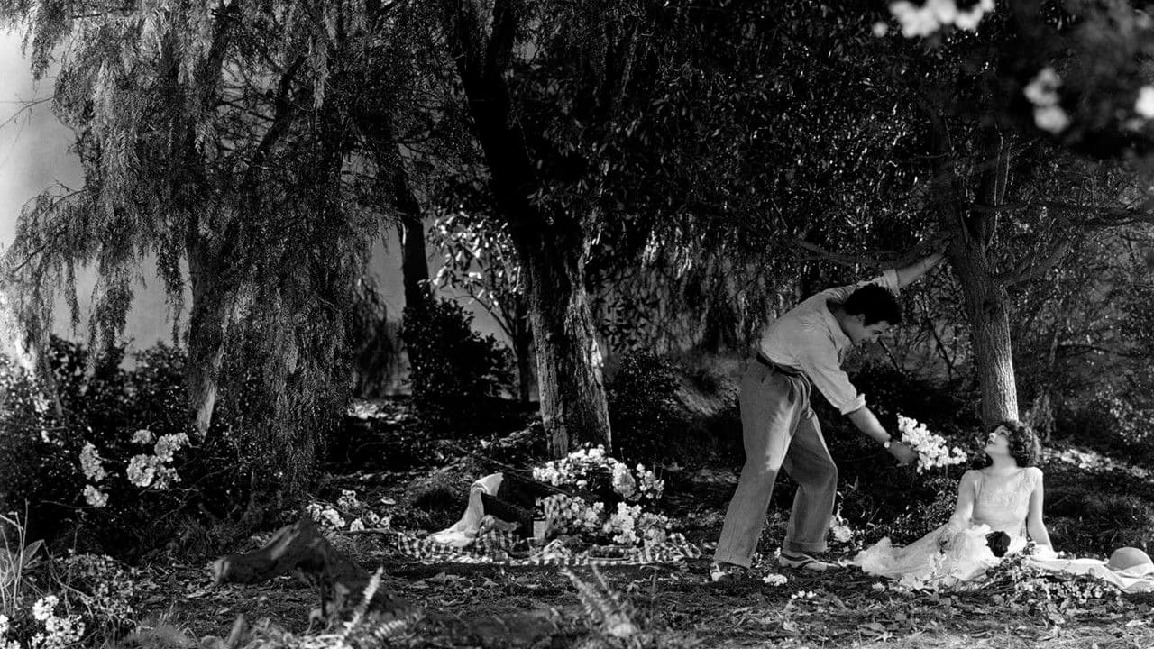 Backdrop – Die Kameliendame