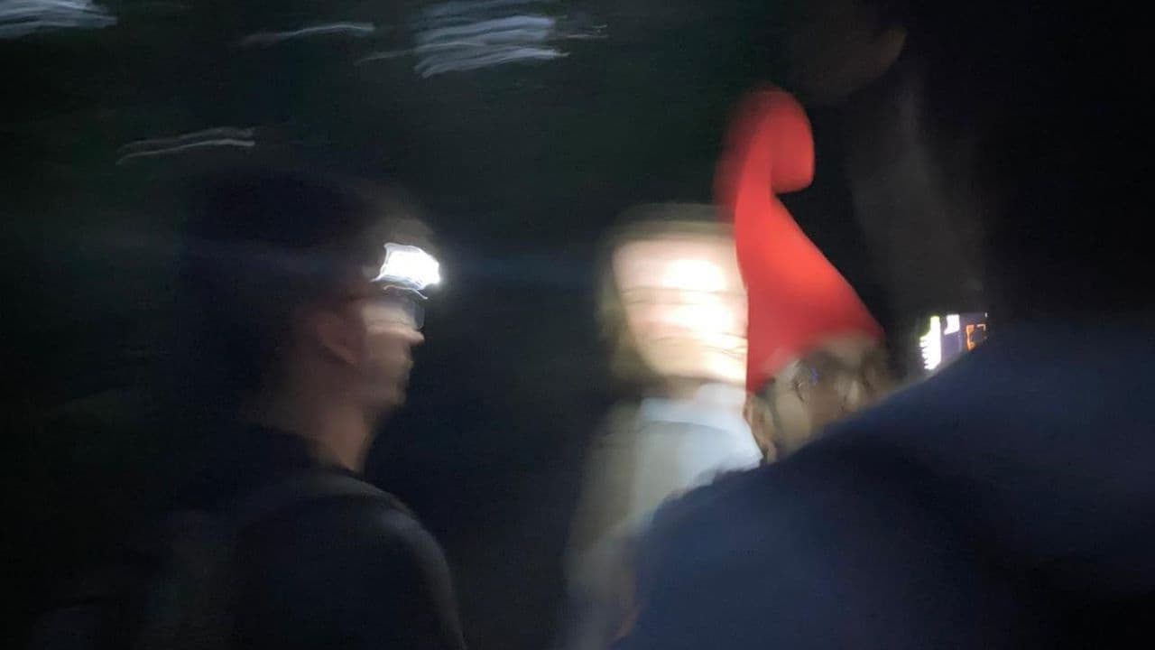 Backdrop – Gnome Hunting Found Footage