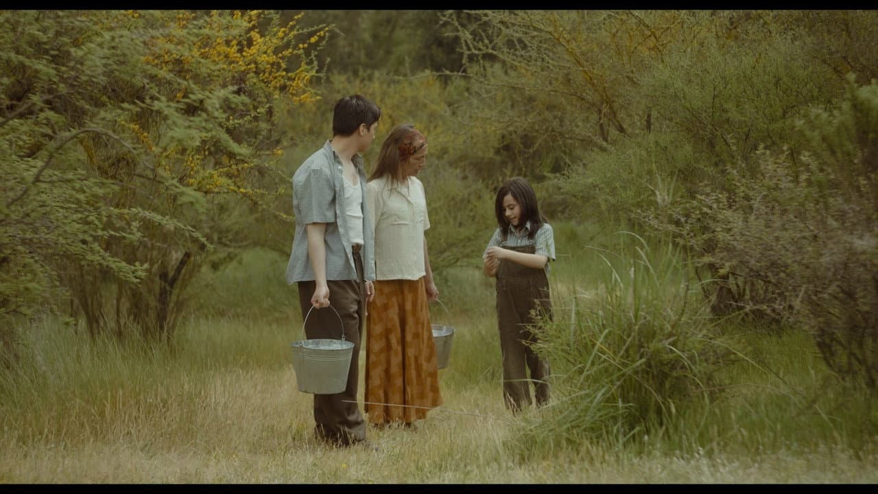 Backdrop – Días de Verano