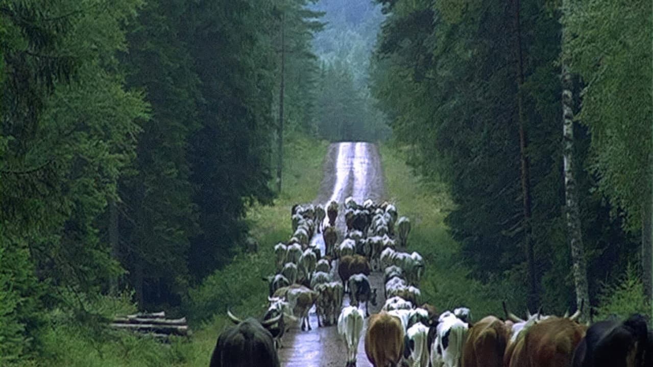 Backdrop – Naturens gång