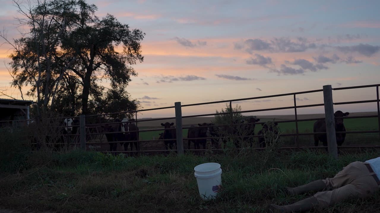 Backdrop – Pastoral