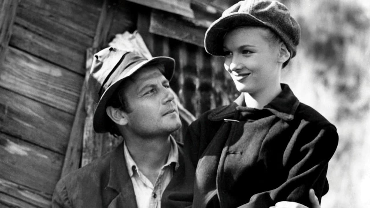 Backdrop – Sullivans Reisen