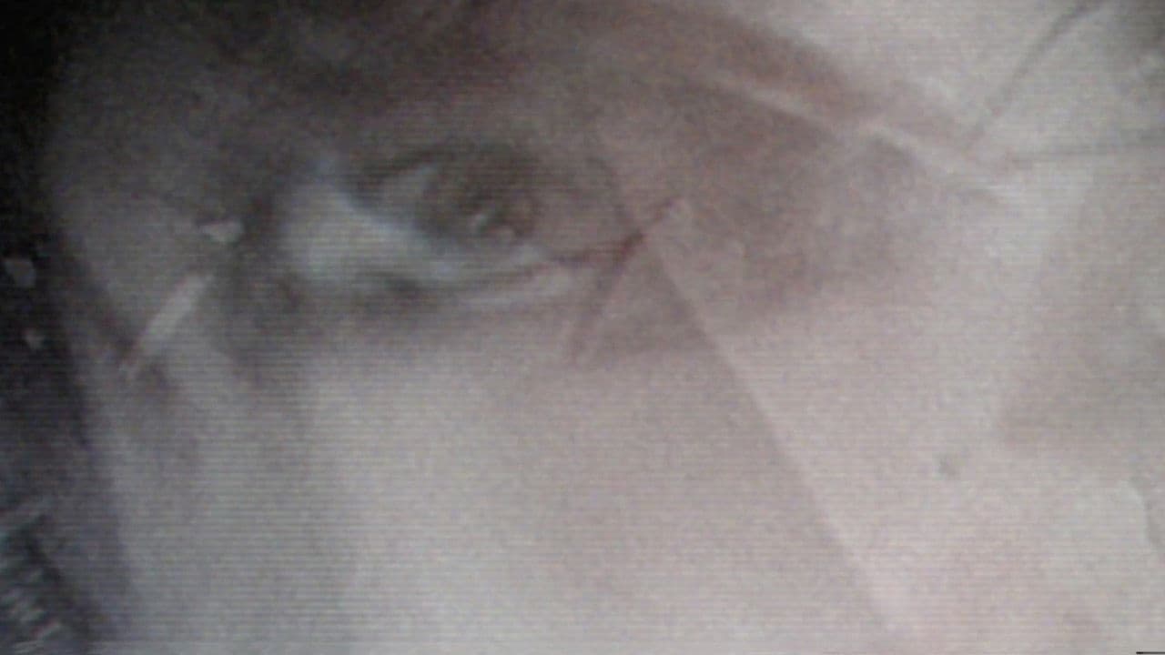 Backdrop – GIRLSFOLLOWMOONLIGHT