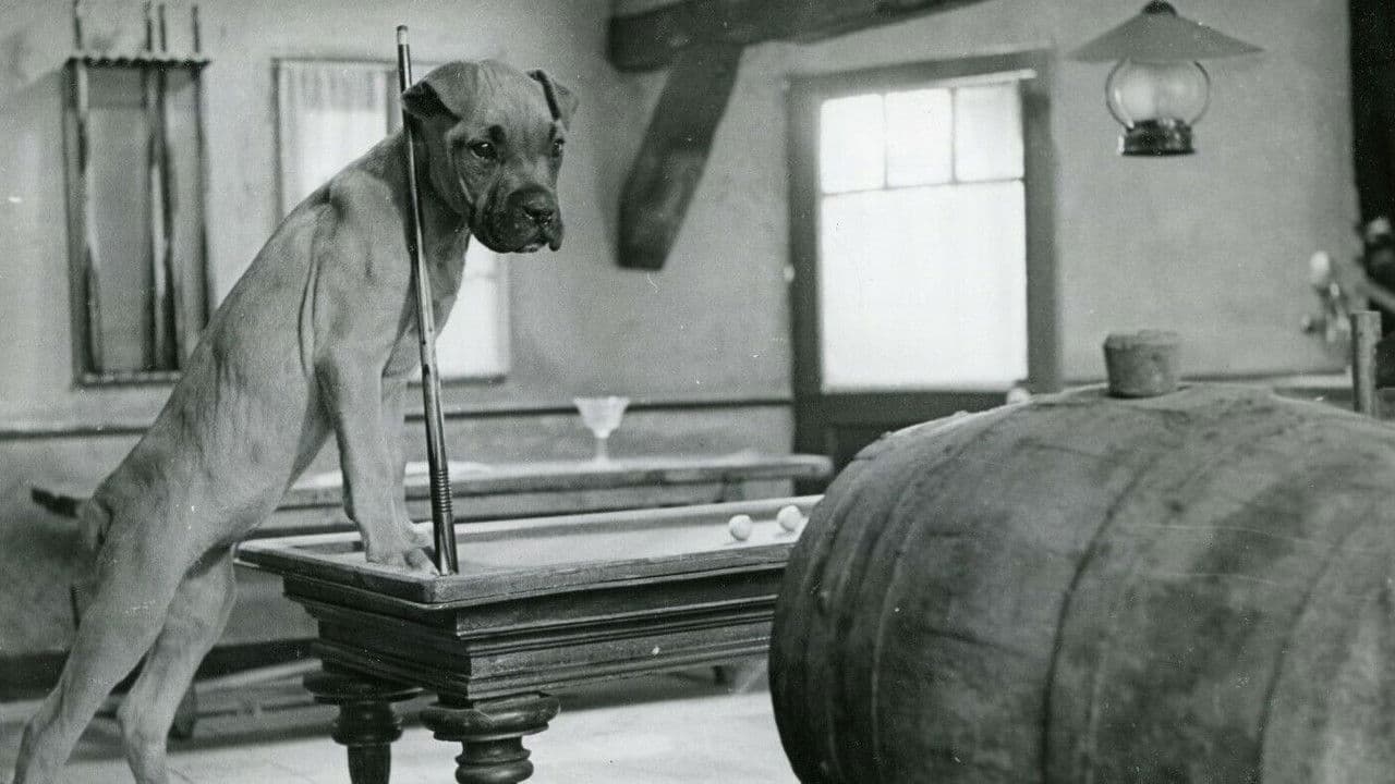 Backdrop – Une fée ... pas comme les autres