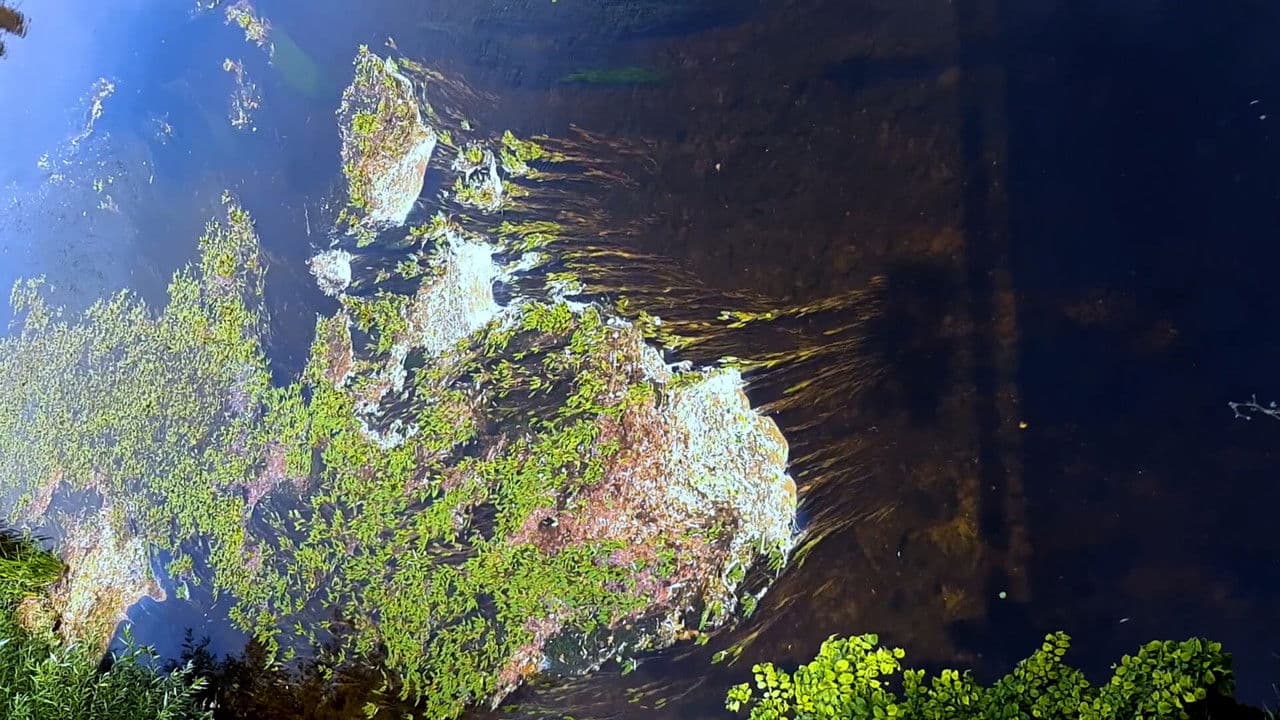 Backdrop – Medzi doľinami, medzi vŕški. Po stopách budúceho zvuku Slovenska.
