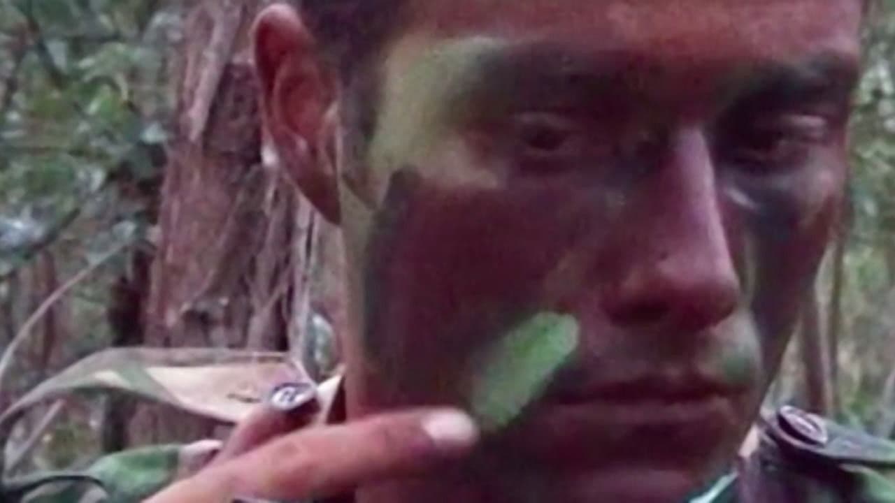 Backdrop – Où en êtes-vous, João Pedro Rodrigues ?