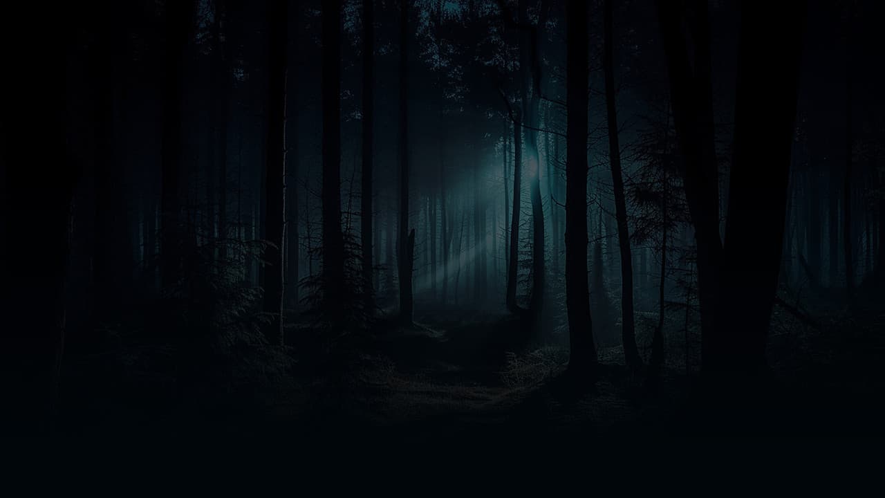 Backdrop – The Haunting Lodge