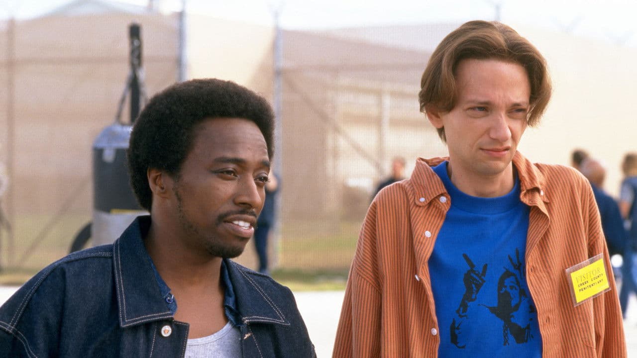 Backdrop – The New Guy