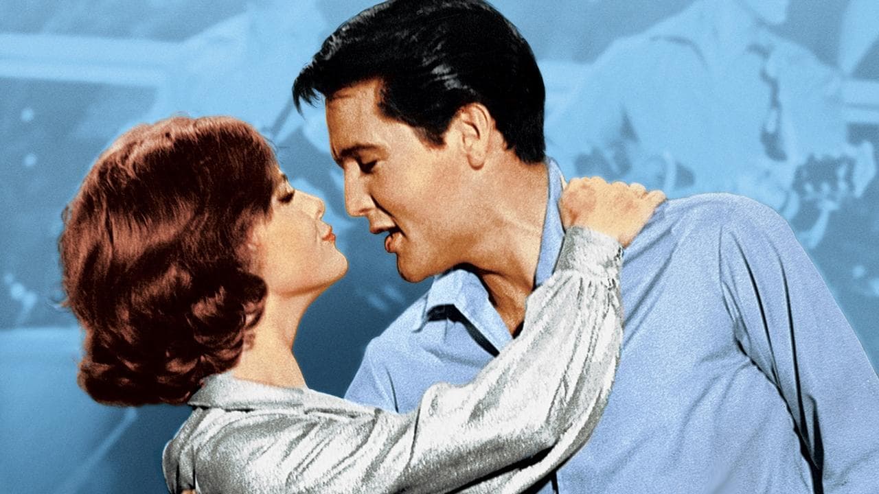 Backdrop – Kurven-Lilly