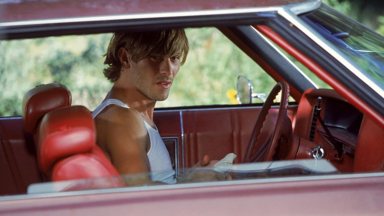 Backdrop – Piggy Banks