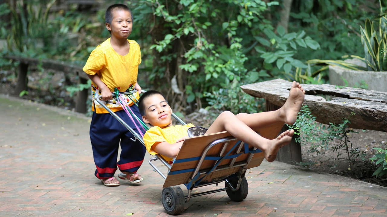 Backdrop – 6 Weeks to Mother's Day