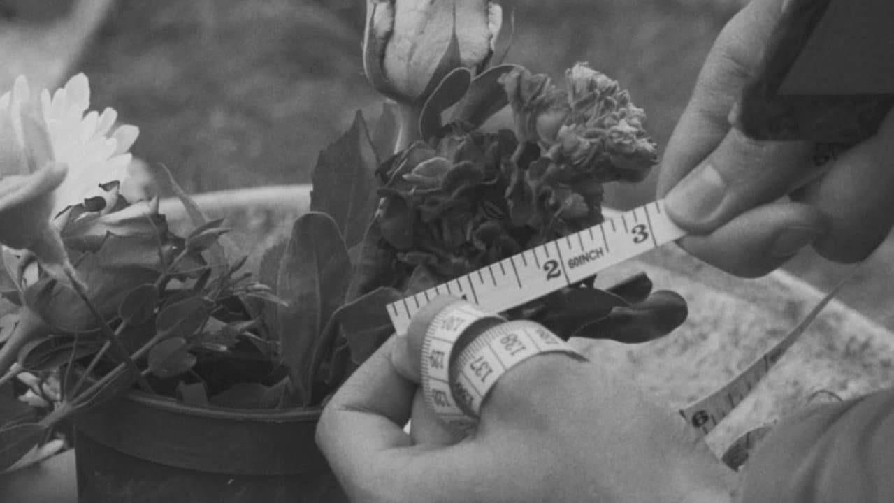 Backdrop – It's All in the Soil
