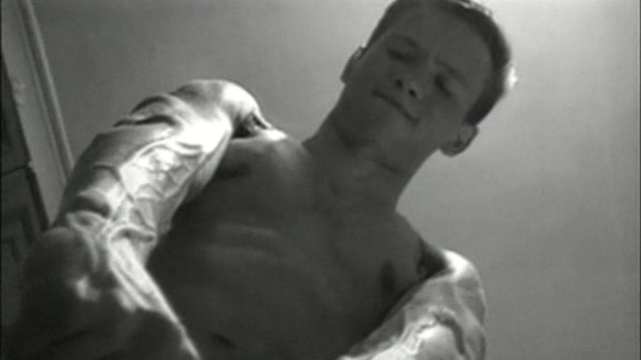 Backdrop – береза