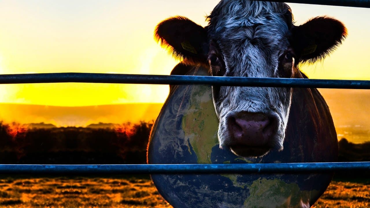 Backdrop – Cowspiracy - Das Geheimnis der Nachhaltigkeit