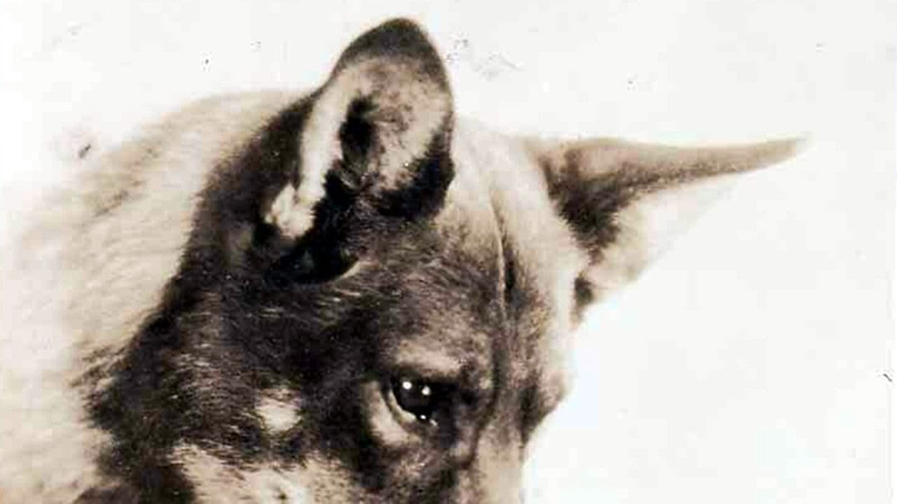 Backdrop – While London Sleeps