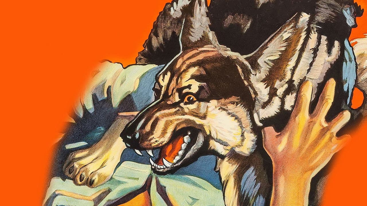 Backdrop – Ferocious Pal