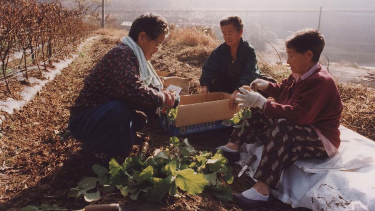 Backdrop – 낮은 목소리 2